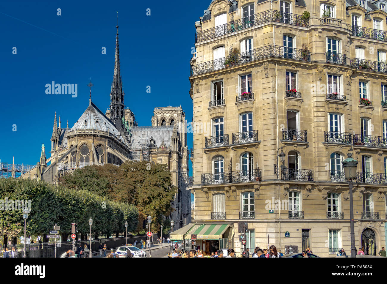 Die hintere Erhöhung von Notre Dame Kathedrale von Quai aux Fleurs, Paris, Frankreich Stockfoto