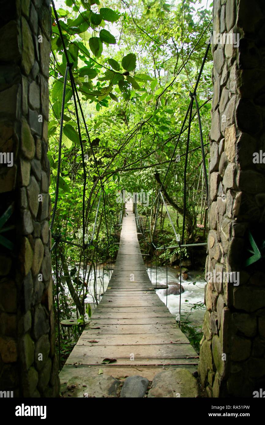 Eine lange schmale hölzerne Hängebrücke über einen Fluss im Dschungel von Honduras Stockfoto