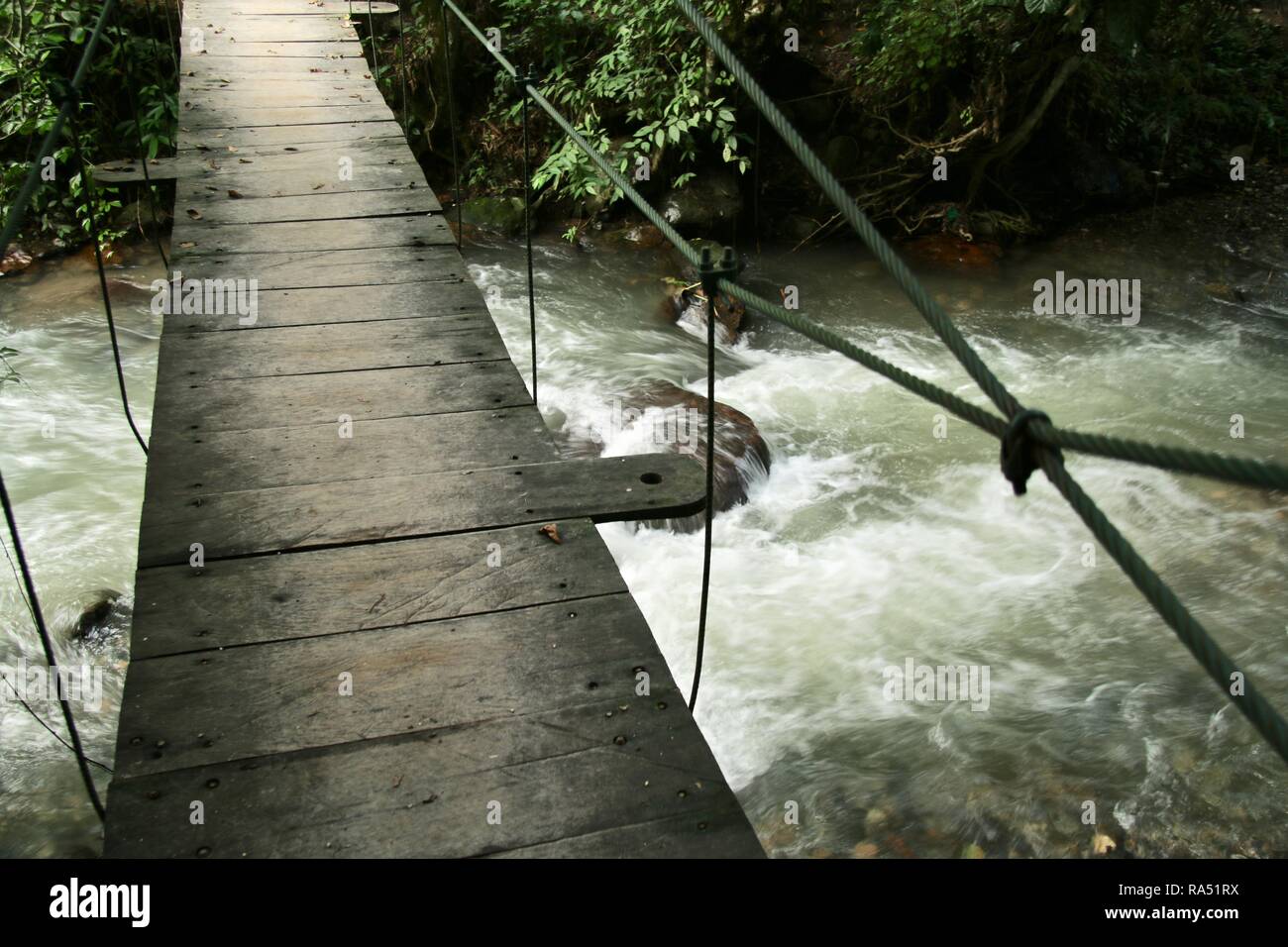 Eine schmale hölzerne Hängebrücke über einen Fluss im Dschungel von Honduras Stockfoto