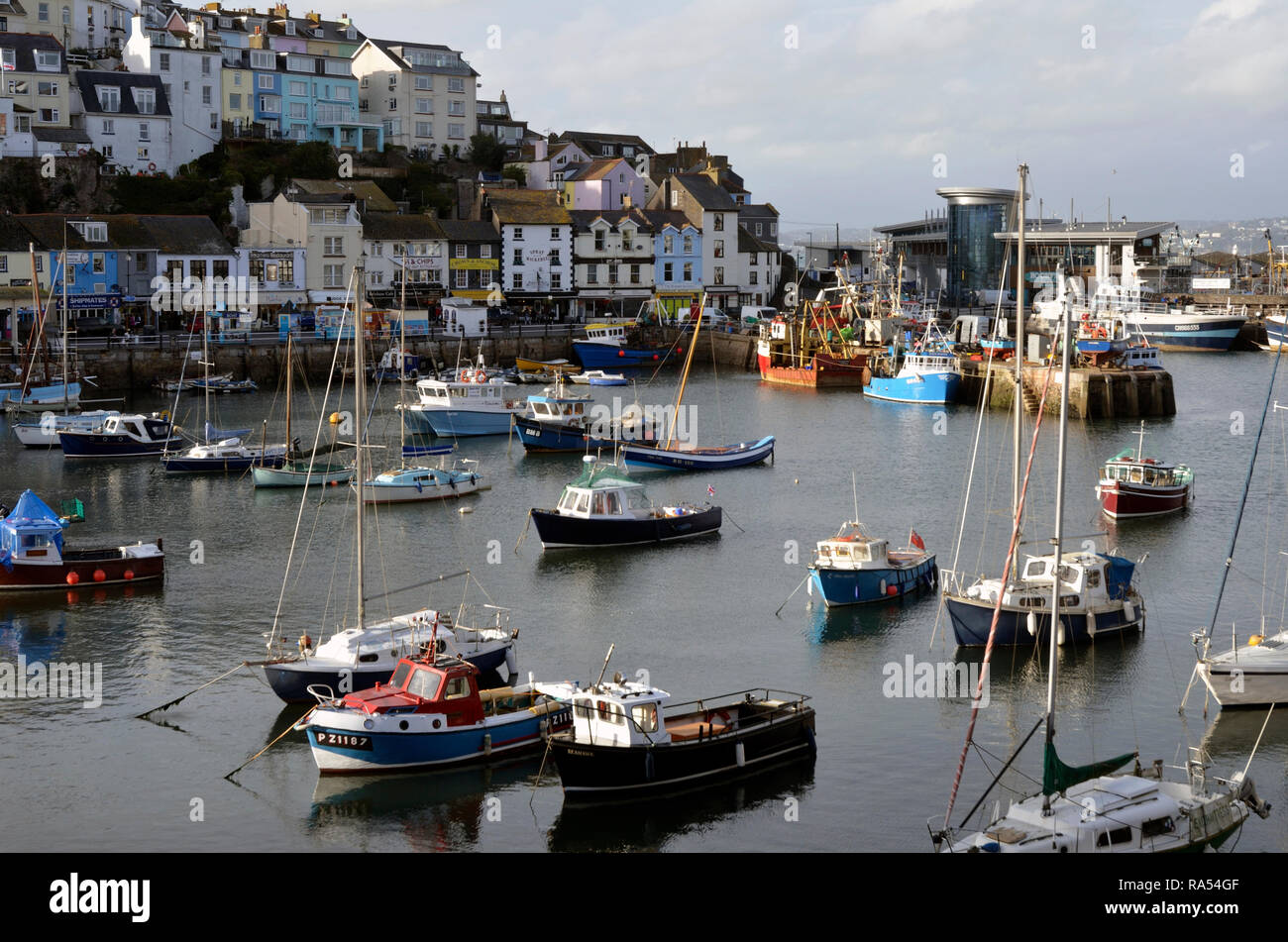 Hafen von Brixham Devon, England, UK Vereinigtes Königreich, Europa Stockfoto