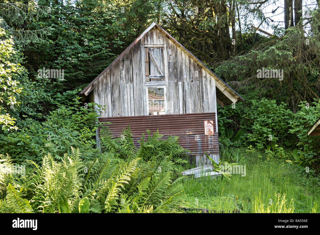 Eine kleine Holzhütte entlang der Promenade am Hammer Slough in Petersburg, Mitkof Insel, Alaska. Petersburg angesiedelt, die von norwegischen Immigranten Peter Buschmann ist so wenig Norwegen aufgrund der hohen Prozentsatz der Bevölkerung skandinavischer Herkunft bekannt. Stockfoto