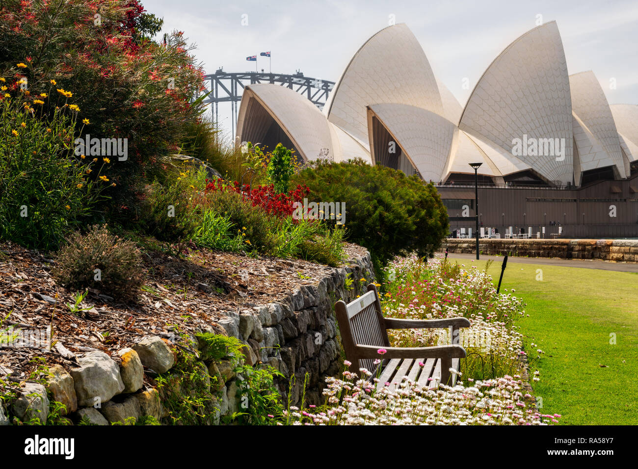 Blick von der Royal Botanic Garden mit dem Sydney Opera House. Stockfoto