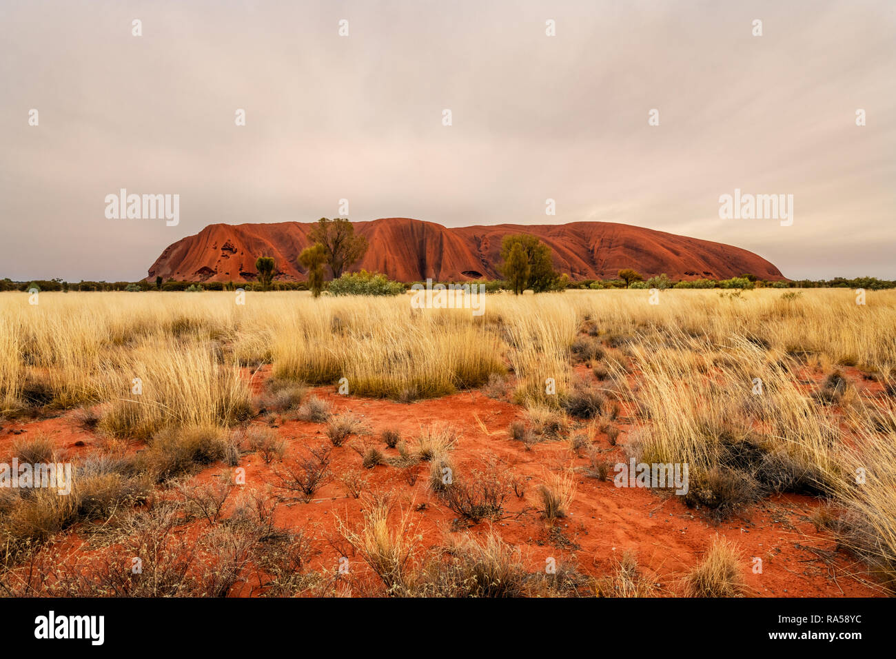 Blick auf den südlichen Teil des berühmten Uluru. Stockfoto