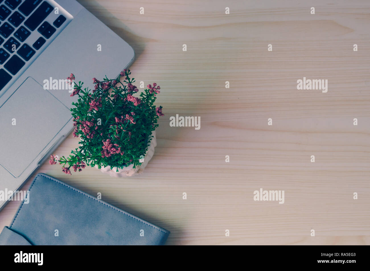 Computer Laptop und Buch und Blume auf dem Schreibtisch. Kopieren Sie Platz Stockfoto