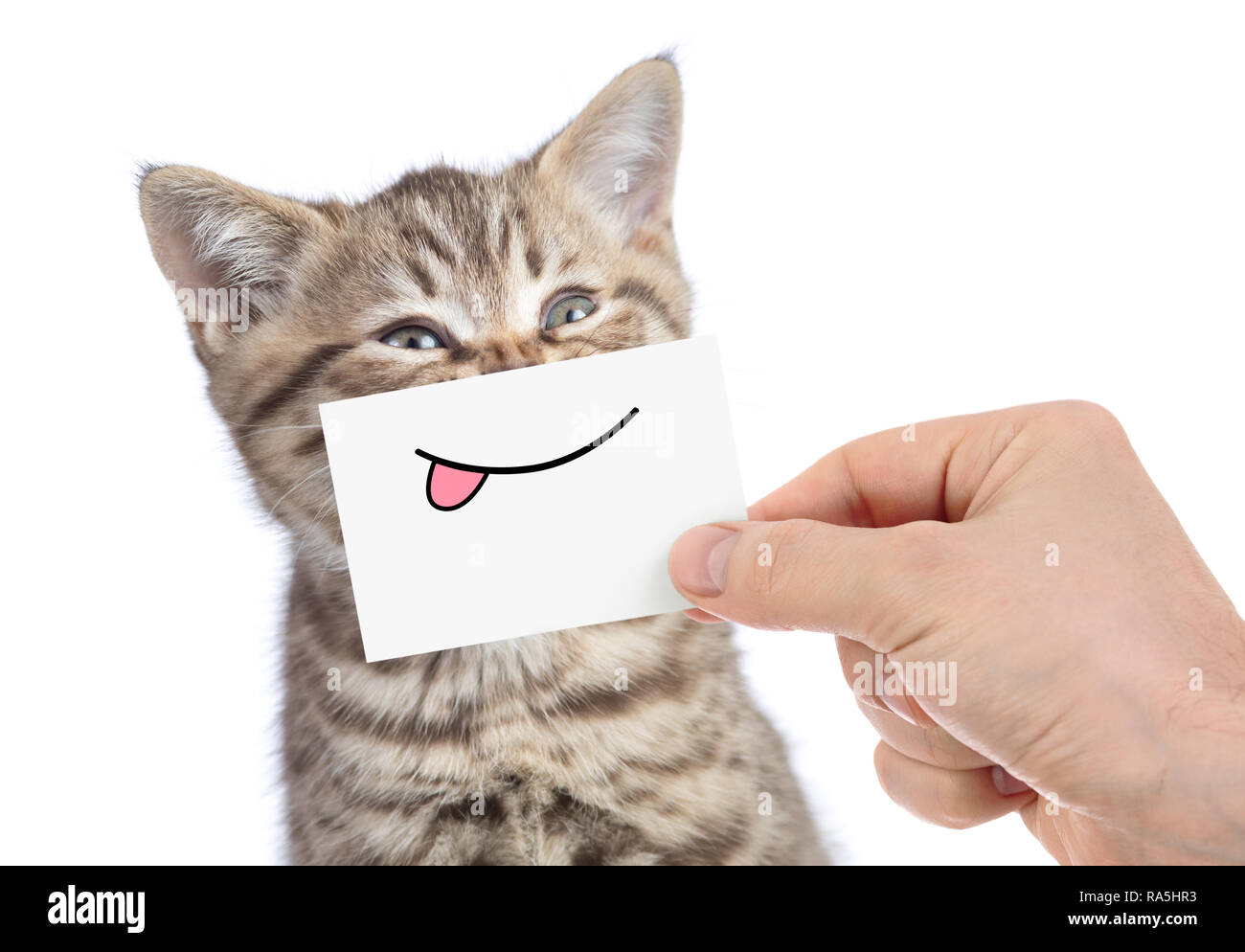 Katze mit lustigen Zunge Lächeln isoliert auf weißem Stockfoto