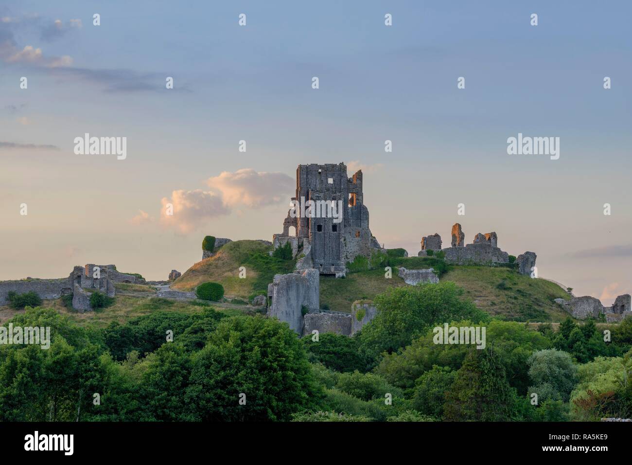 Burgruine, Corfe Castle, England, Großbritannien Stockfoto