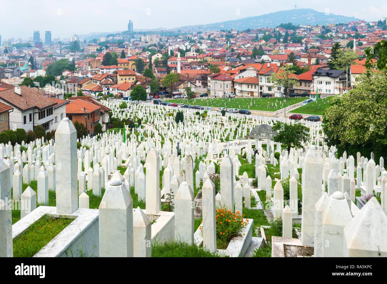 Märtyrer Friedhof Kovaci, Sarajevo, Bosnien und Herzegowina Stockfoto