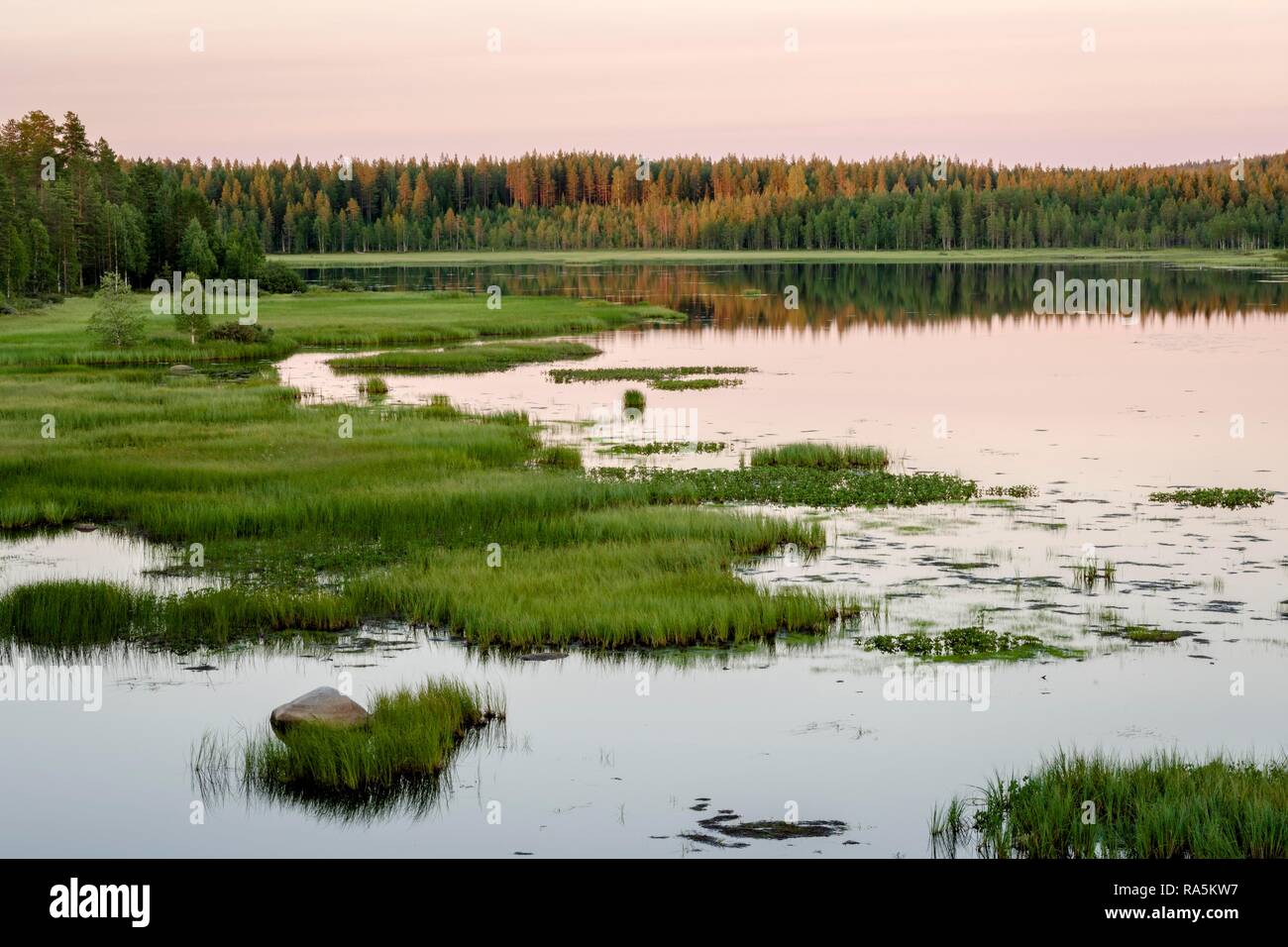 Sonnenuntergang am See, Kohlegruben, Gras, Feuchtgebiete, Kiantajaervi, Ruhtinansalmi, Lappland, Finnland Stockfoto