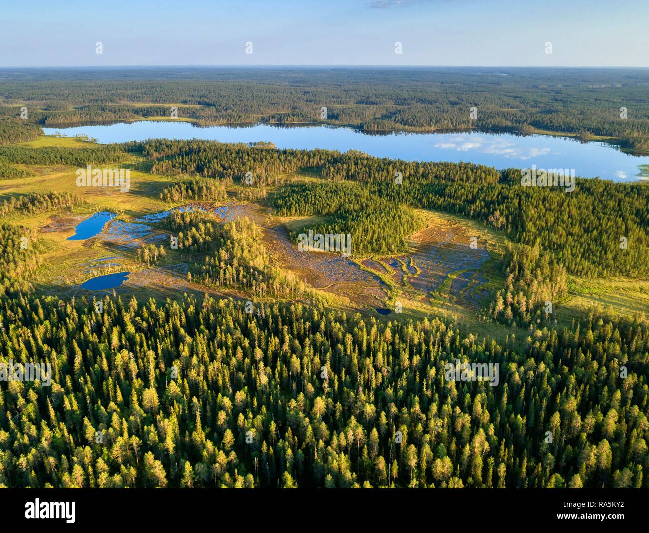 Drone schoß, Koniferen in Feuchtgebieten mit See, boreal, Arktis Wald, Suomussalmi, Kainuu, Finnland Stockfoto