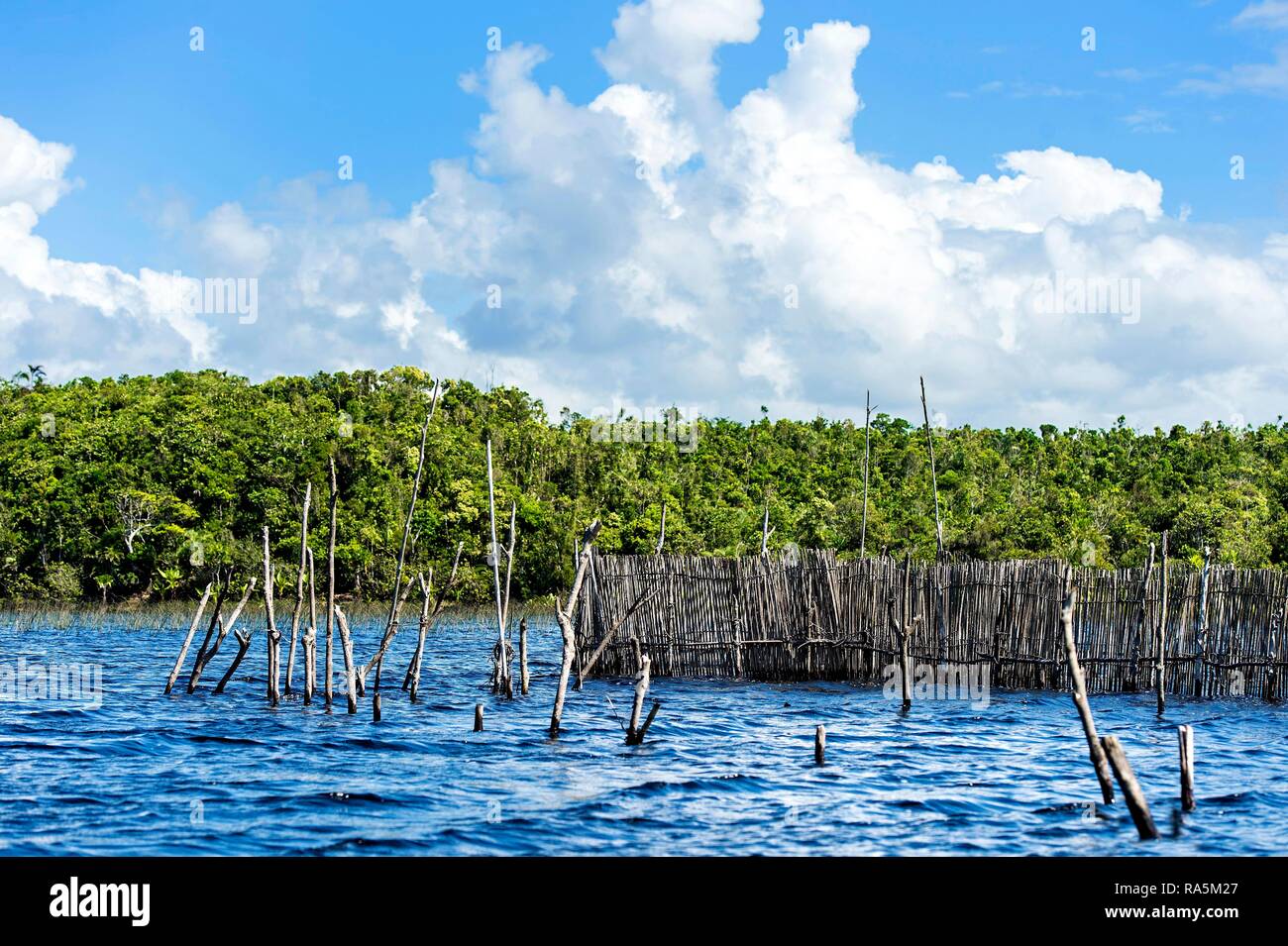 Reusen in der Canal des Pangalanes, Ankanin Ny Nofy, Madagaskar Stockfoto
