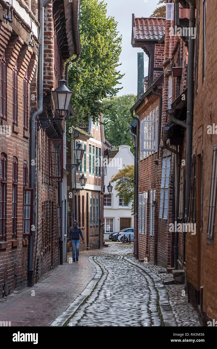 Straße mit historischen Altstadt Häuser, Lüneburg, Niedersachsen, Deutschland Stockfoto