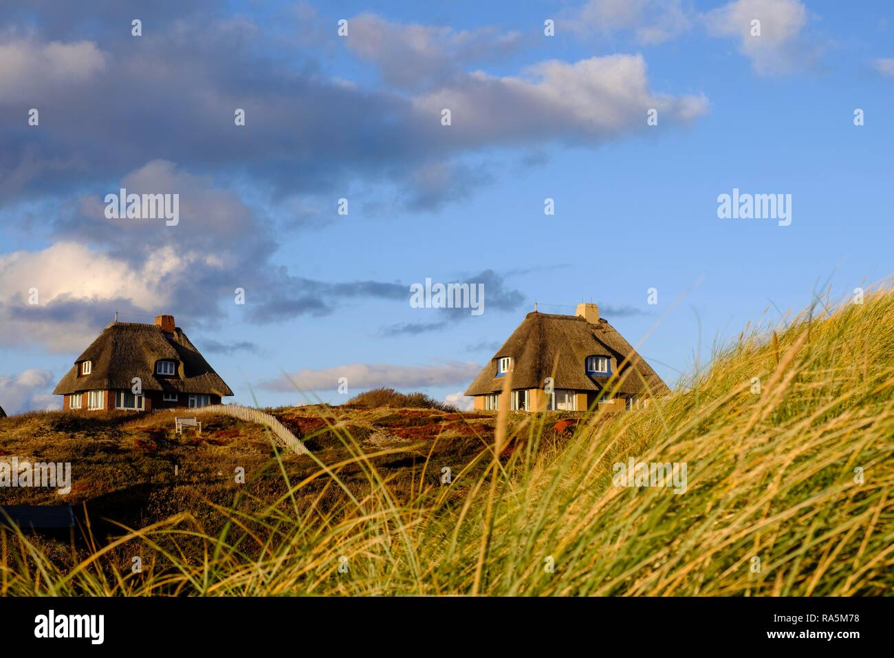 Typisch friesischen Häusern mit Strohdächern in den Dünen von Hörnum, Sylt, Nordfriesland, Schleswig-Holstein, Deutschland Stockfoto