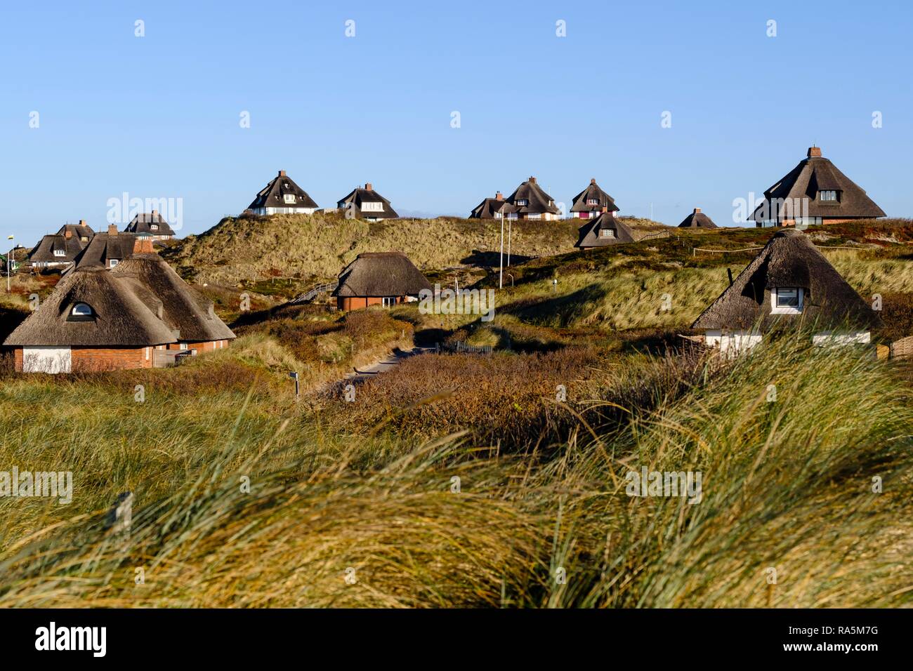 Typisch friesischen Häusern mit Strohdächern in den Dünen von Hörnum, Sylt, Nordfriesland, Schleswig-Holstein, Deutschland Stockfoto