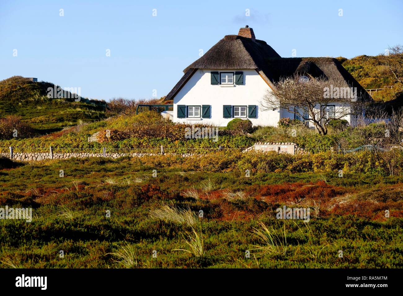 Typisch friesische Haus mit Strohdach in den Dünen von Hörnum, Sylt, Nordfriesland, Schleswig-Holstein, Deutschland Stockfoto