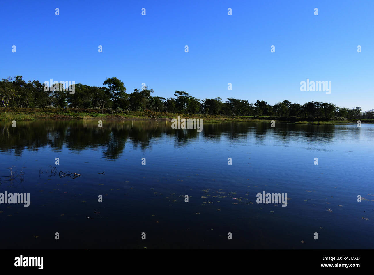 Tolles Zimmer mit Blick auf den See und Reflexion der blauen Himmel und grün auf dem Wasser Stockfoto