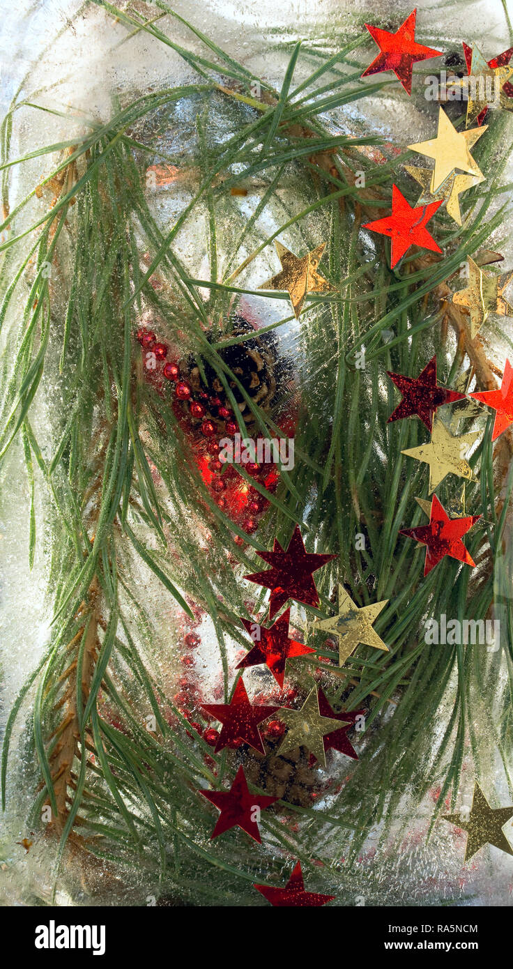 Hintergrund der roten Perlen, Weihnachtsstern, Kegel, Zweig, der Kiefer in Ice Cube mit Luftblasen. Frohes neues Jahr 2019 Grußkarte. Platz kopieren, t Stockfoto