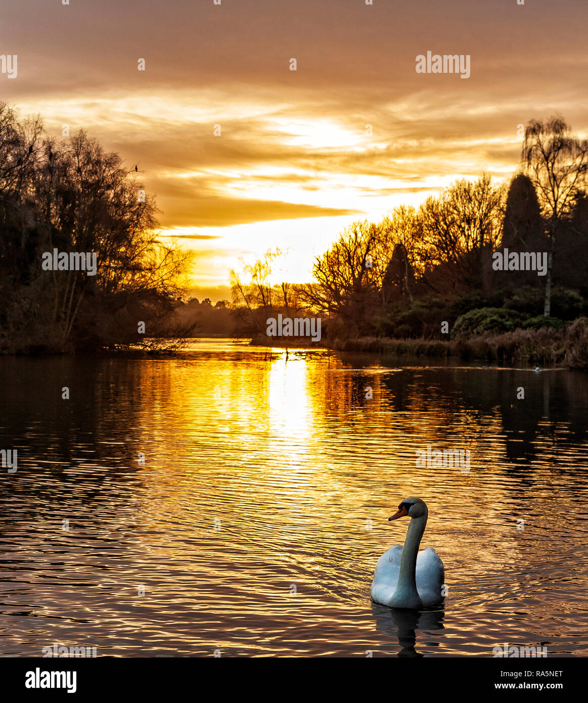 Einen atemberaubenden Sonnenuntergang über Clumber Park See, Nottinghamshire, England Stockfoto