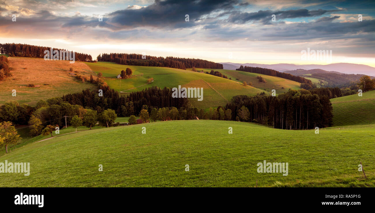 Landschaft in der Nähe von St. Märgen im Schwarzwald Stockfoto