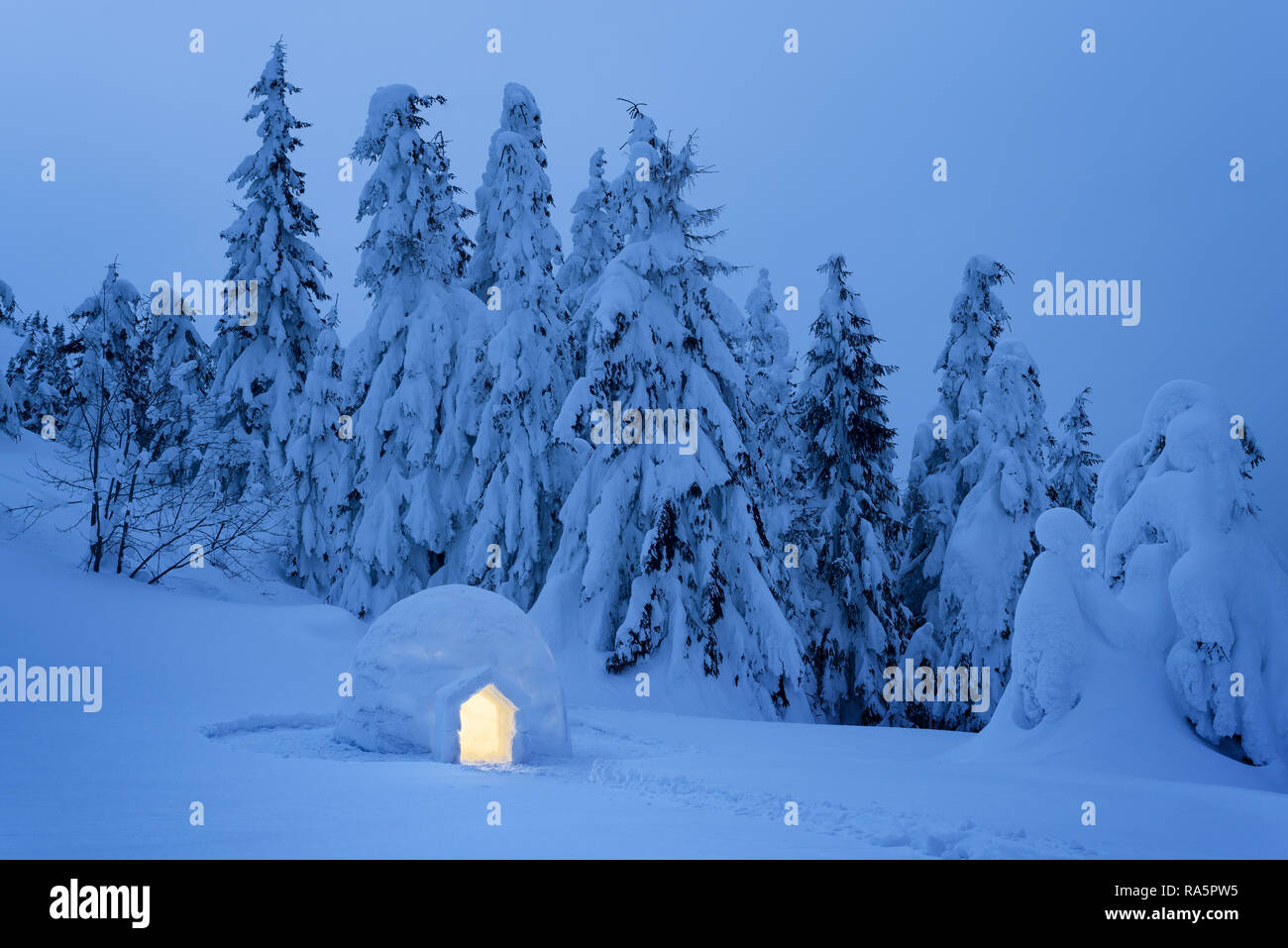 Iglu Schnee in einem Bergwald. Nachtansicht mit verschneiten Tannen. Verträumte Winterlandschaft Stockfoto
