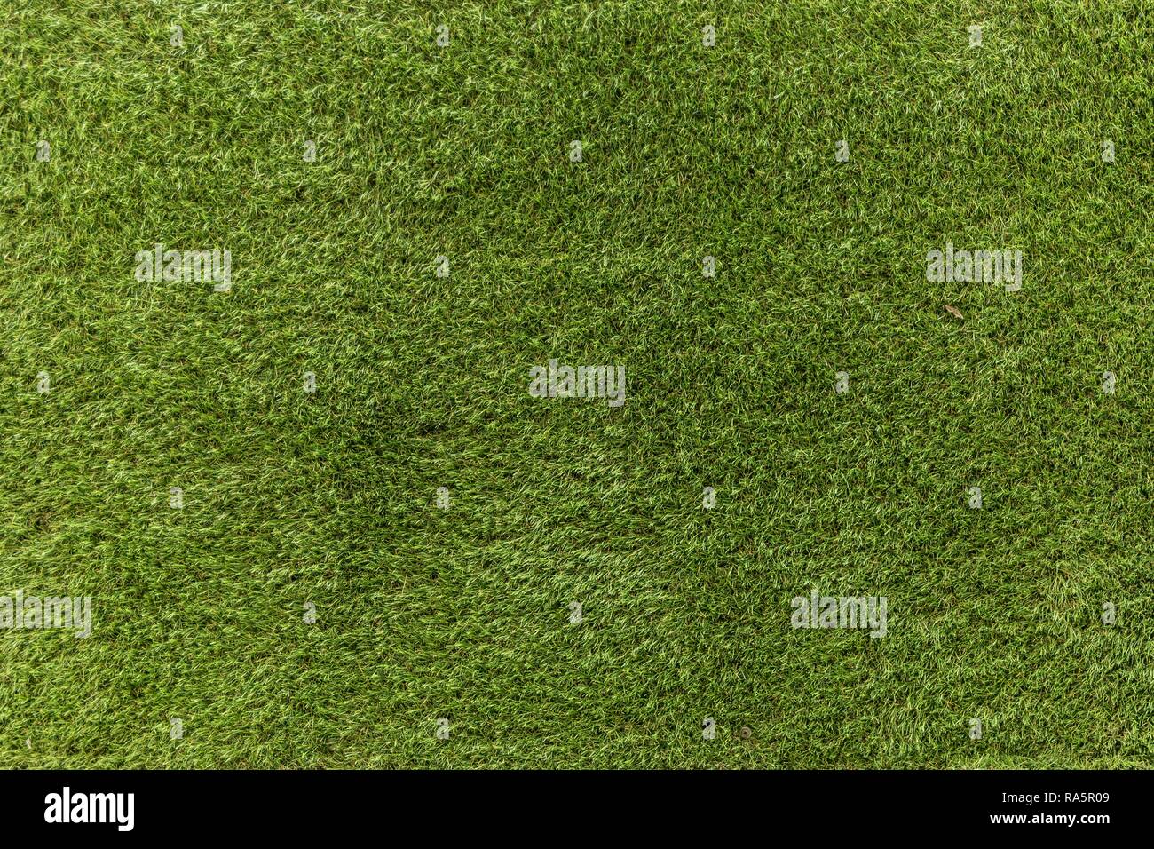 Stück grünen Kunstrasen, Ile Rousse, Korsika, Frankreich Stockfotografie -  Alamy