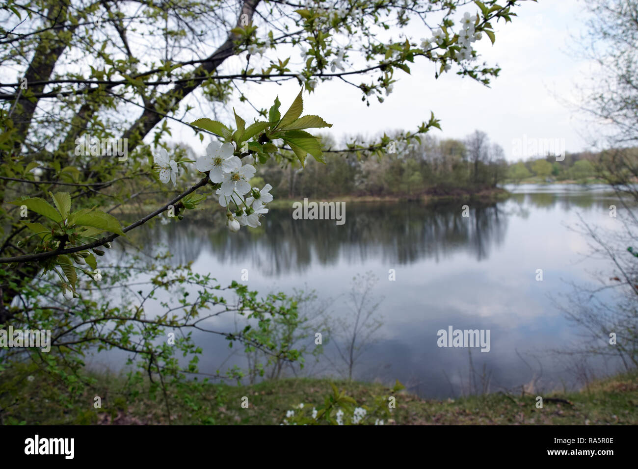 Grady odrzanskie' - Odra River in der Nähe von Breslau. Natur Schutzgebiete "Natura 2000". Dolnoslaskie, Polen. Stockfoto