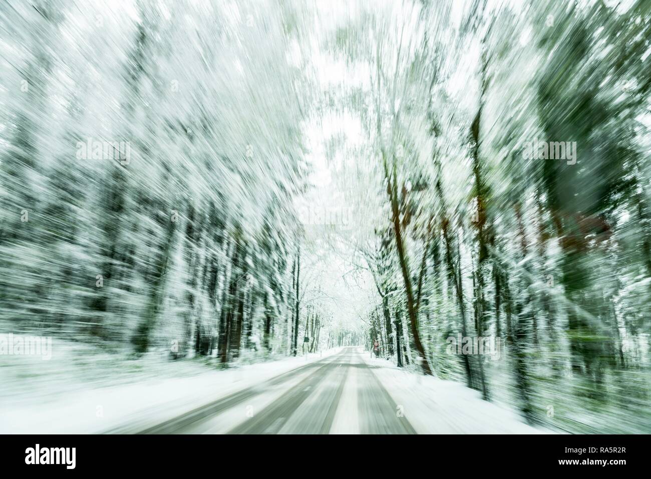 Verschneite Straße im verschneiten Wald, rutschiger Fahrbahn, Unterallgäu, Bayern, Deutschland Stockfoto