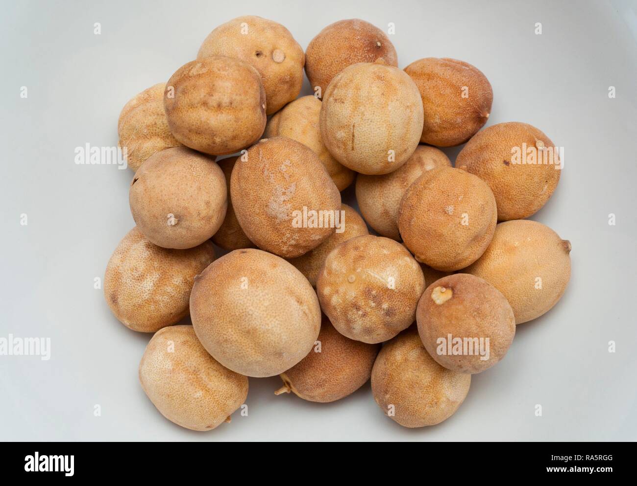 Getrockneten Limetten, Oriental Food Ingredient, Vereinigtes Königreich Stockfoto