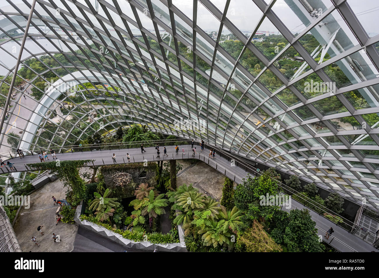 Nebelwald Dome in Gärten durch die Bucht - Singapur Stockfoto
