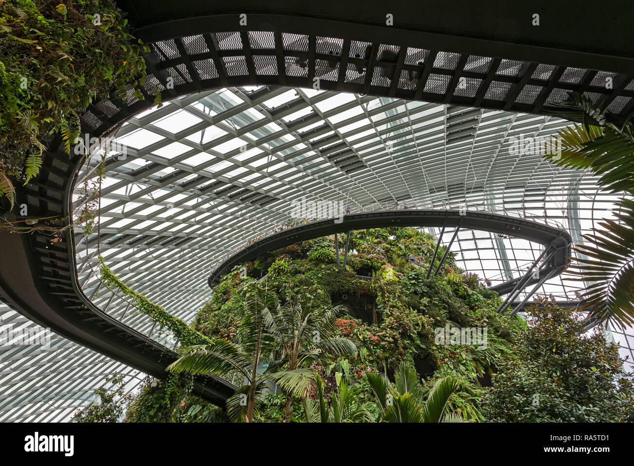 Nebelwald Dome in Gärten durch die Bucht - Singapur Stockfoto