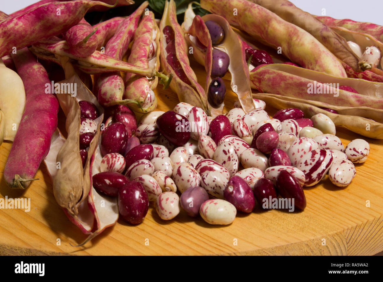 Die borlotti Bohnen unzählige Eigenschaften besitzen, werden Sie eignen sich für verschiedene Rezepte in der Küche Stockfoto