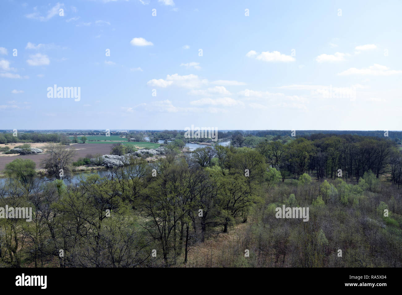 Luftaufnahme auf'Grady odrzanskie' - Odra River in der Nähe von Breslau. Natur Schutzgebiete "Natura 2000". Dolnoslaskie, Polen. Stockfoto