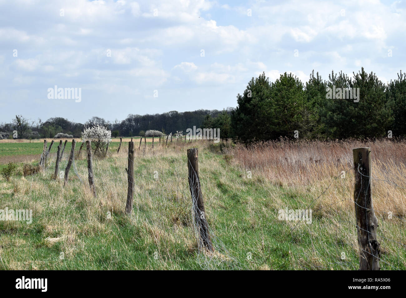 Der Zaun umschließt die Wiese. Grady odrzanskie' - odra River in der Nähe von Breslau. Natur Schutzgebiete "Natura 2000". Dolnoslaskie, Polen. Stockfoto