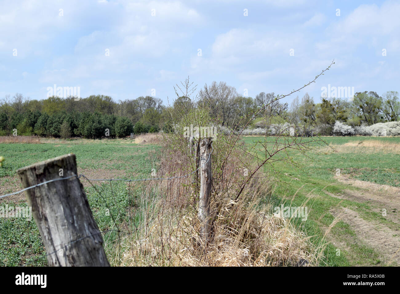 Der Zaun umschließt die Wiese. Grady odrzanskie' - odra River in der Nähe von Breslau. Natur Schutzgebiete "Natura 2000". Dolnoslaskie, Polen. Stockfoto