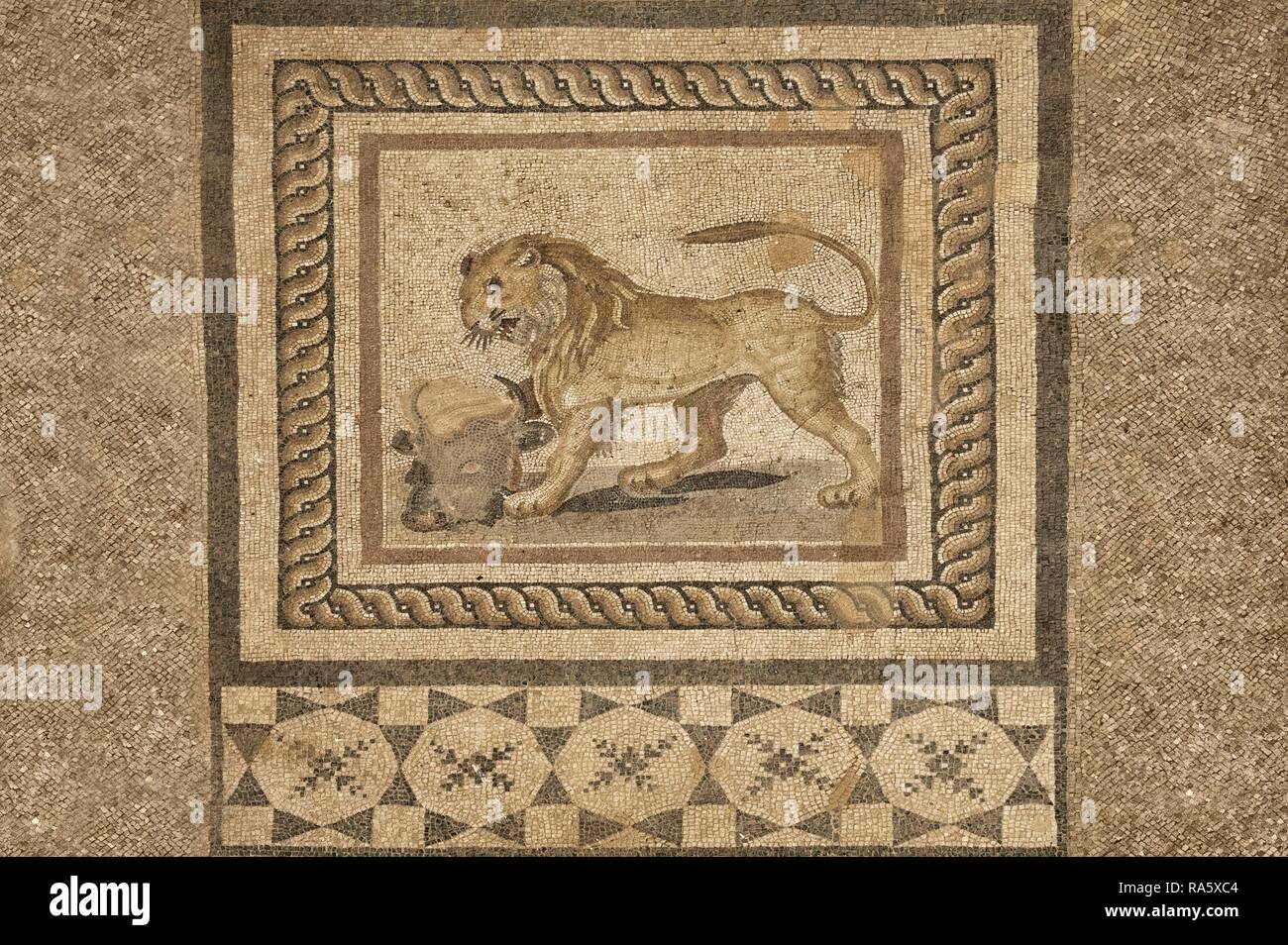 Bürgersteig Mosaiken, private Häuser, Ephesus, Provinz Izmir, Türkei Stockfoto