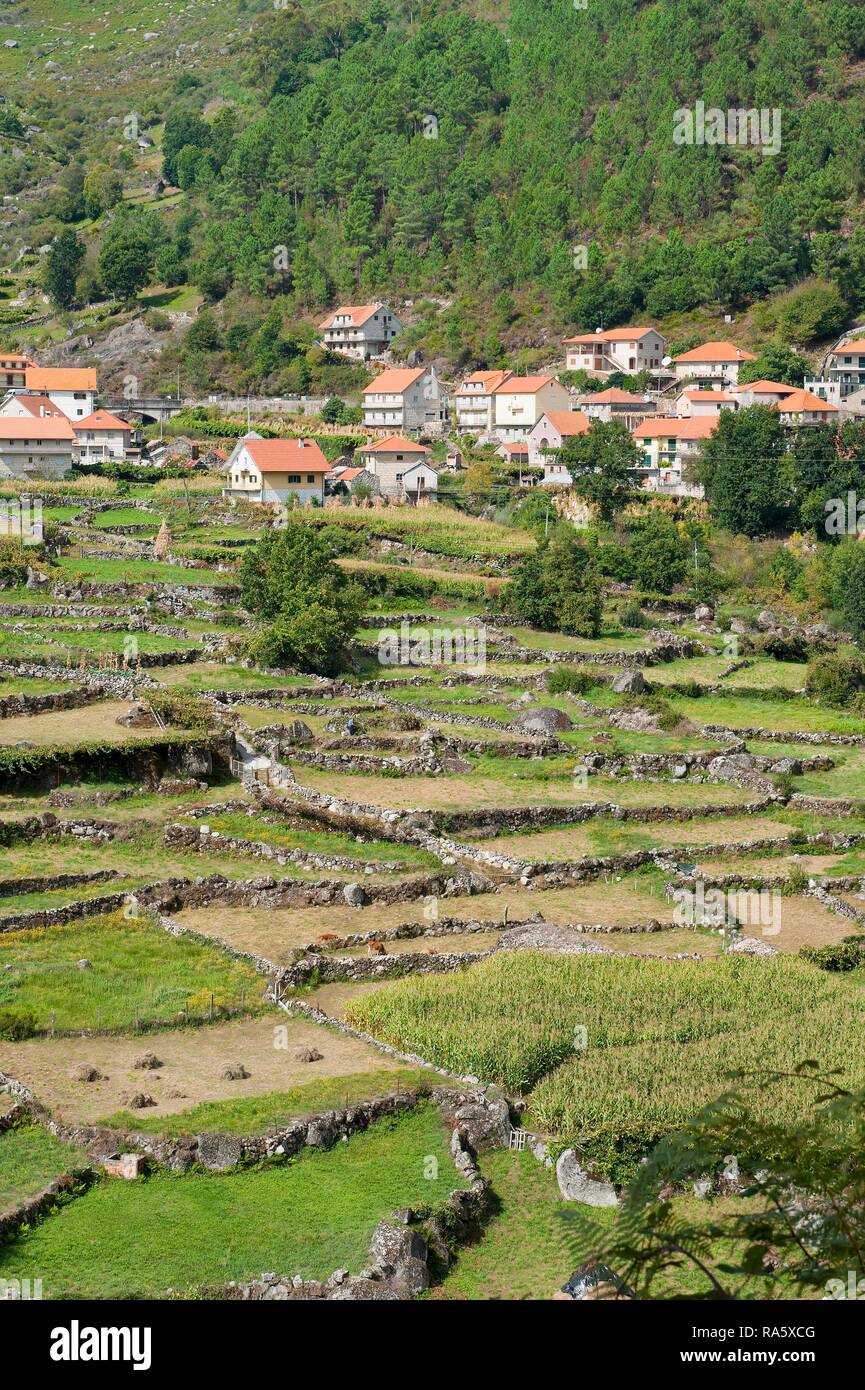 Nationalpark Peneda Geres, Provinz Minho, Portugal, Europa Stockfoto