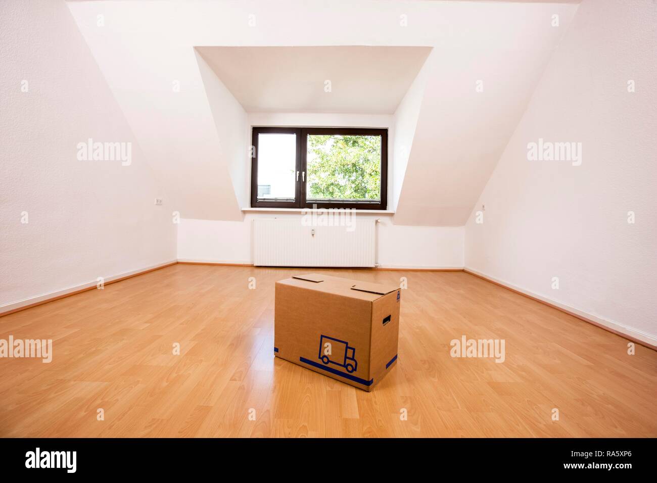 Kasten auf dem Boden in einem leeren Raum von einem Loft Apartment Stockfoto