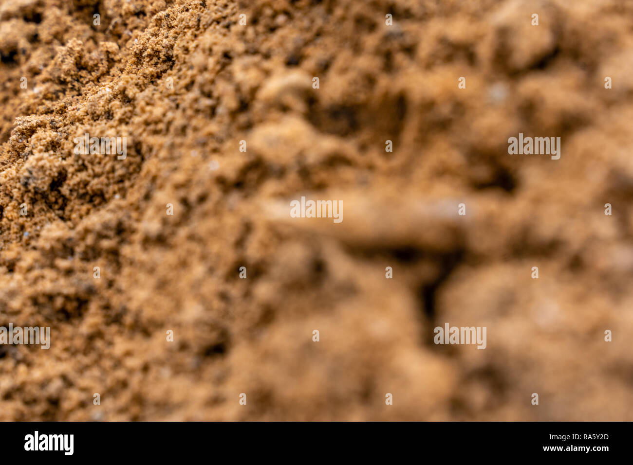 Detailansicht von Sands mit dem Kleinen Winter Frost auf Ihnen Stockfoto