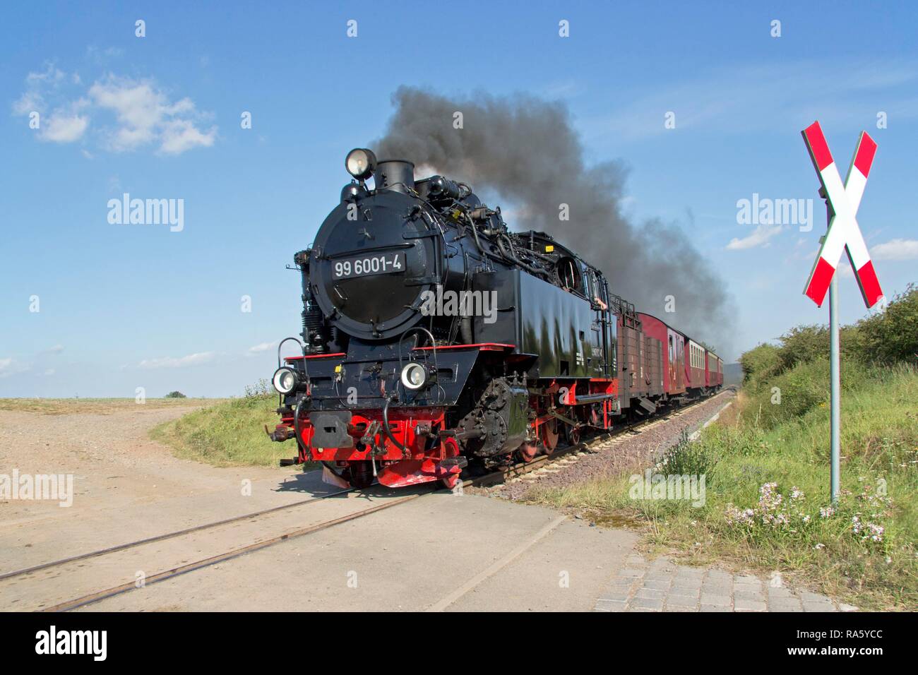 Dampfzug von der Selke Valley Railway in der Nähe von Quarmbeck, Harz, Sachsen-Anhalt Stockfoto