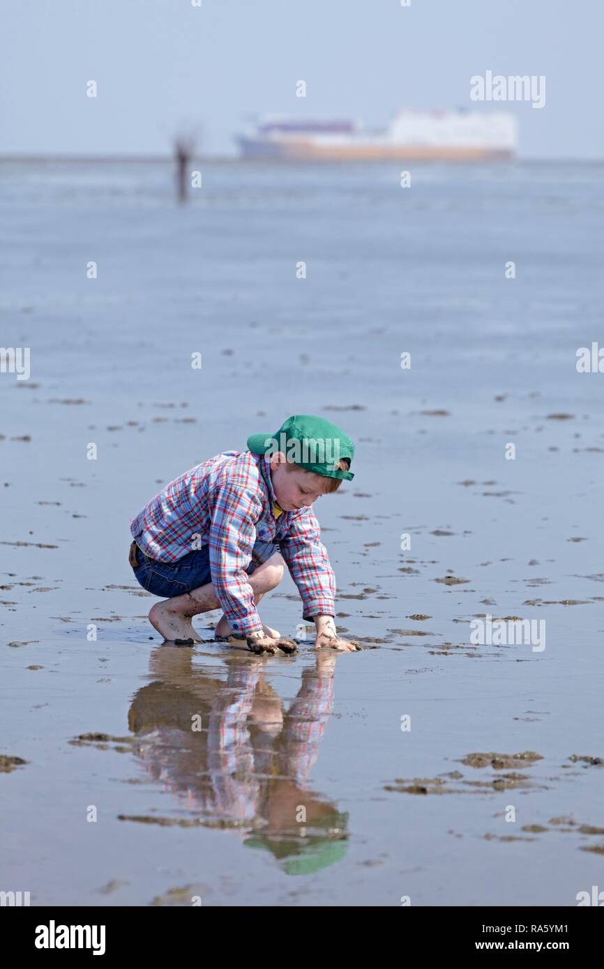 Junge spielt in der Schlamm im Wattenmeer das Wattenmeer, Duhnen, Cuxhaven, Niedersachsen, Deutschland Stockfoto