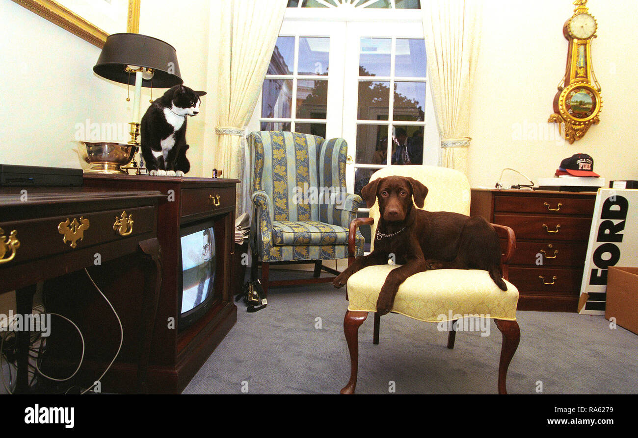 1/5/1998 - Foto von Buddy, den Hund und die Katze Socken in der äußeren Oval Office Stockfoto
