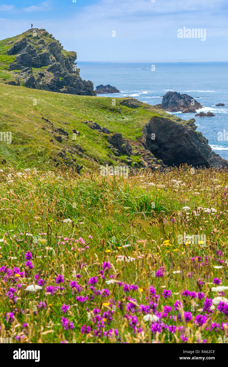 Teil der felsigen Landschaft der Halbinsel Bereich um Lizard Point, in Cornwall, die damit das südlichste Land der Britischen Inseln Stockfoto