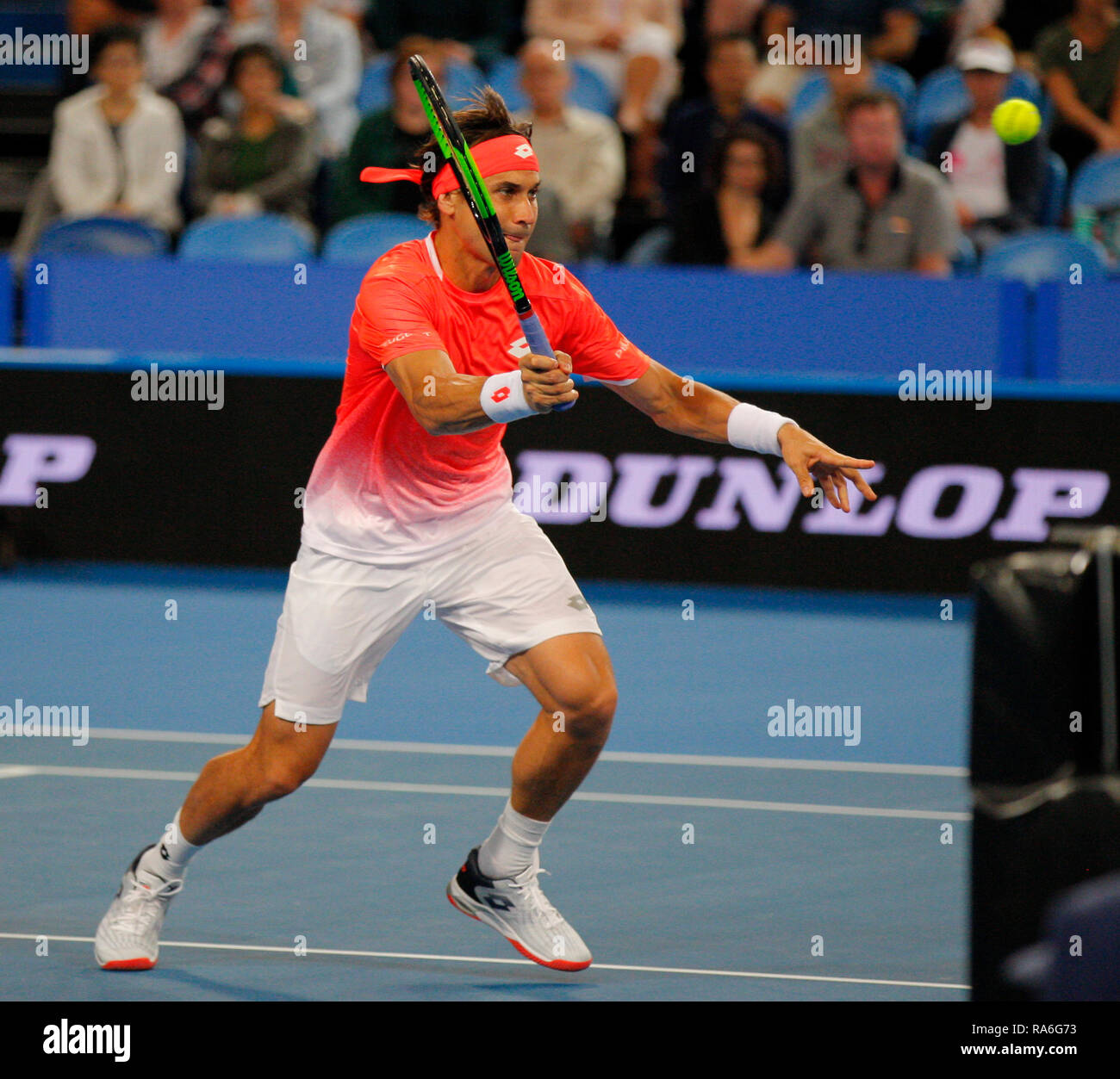 RAC-Arena, Perth, Australien. 2 Jan, 2019. Hopman Cup Tennis, die von Mastercard gefördert; David Ferrer von Team Spanien an der net-volleys während der Mixed Credit: Aktion plus Sport/Alamy leben Nachrichten Stockfoto