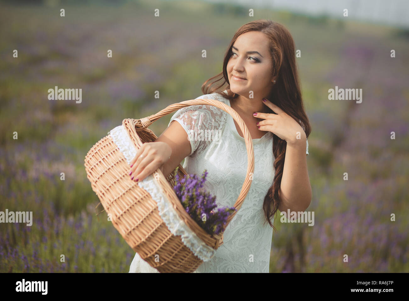 Schöne Brünette buxom nubile Dame Frau mit tiefen blauen Augen auf dem Gebiet der Feder Lavendel posing tragen nette gemütliche weiße Hand, Kleid und gedrückt halten. Stockfoto