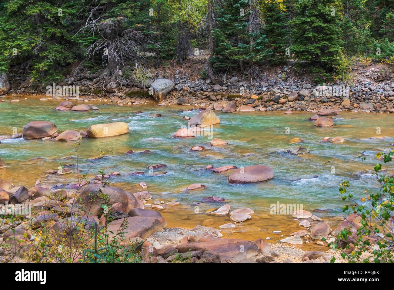 Herbstfarbe auf Animas River. Durango nach Silverton Schmalspurbahn - Zugfahrt von Durango nach Silverton ist berühmte Touristenattraktion. Stockfoto Herbstfarbe auf Animas River. Durango nach Silverton Schmalspurbahn - Zugfahrt von Durango nach Silverton ist berühmte Touristenattraktion. Stockfoto