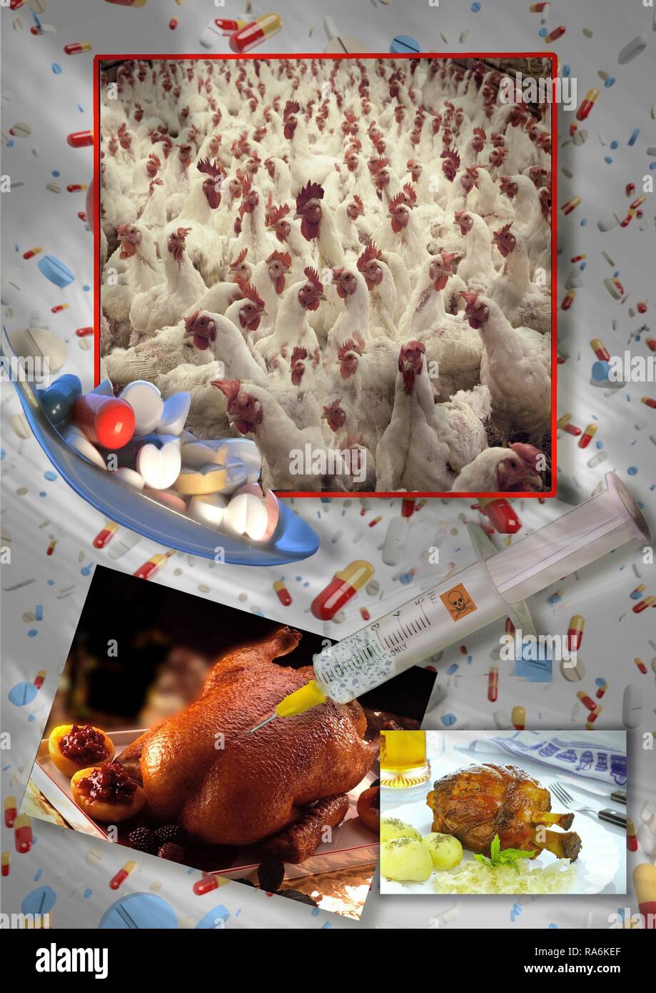 Foto Collage, der Massentierhaltung, Fleischkonsum, Deutschland Stockfoto