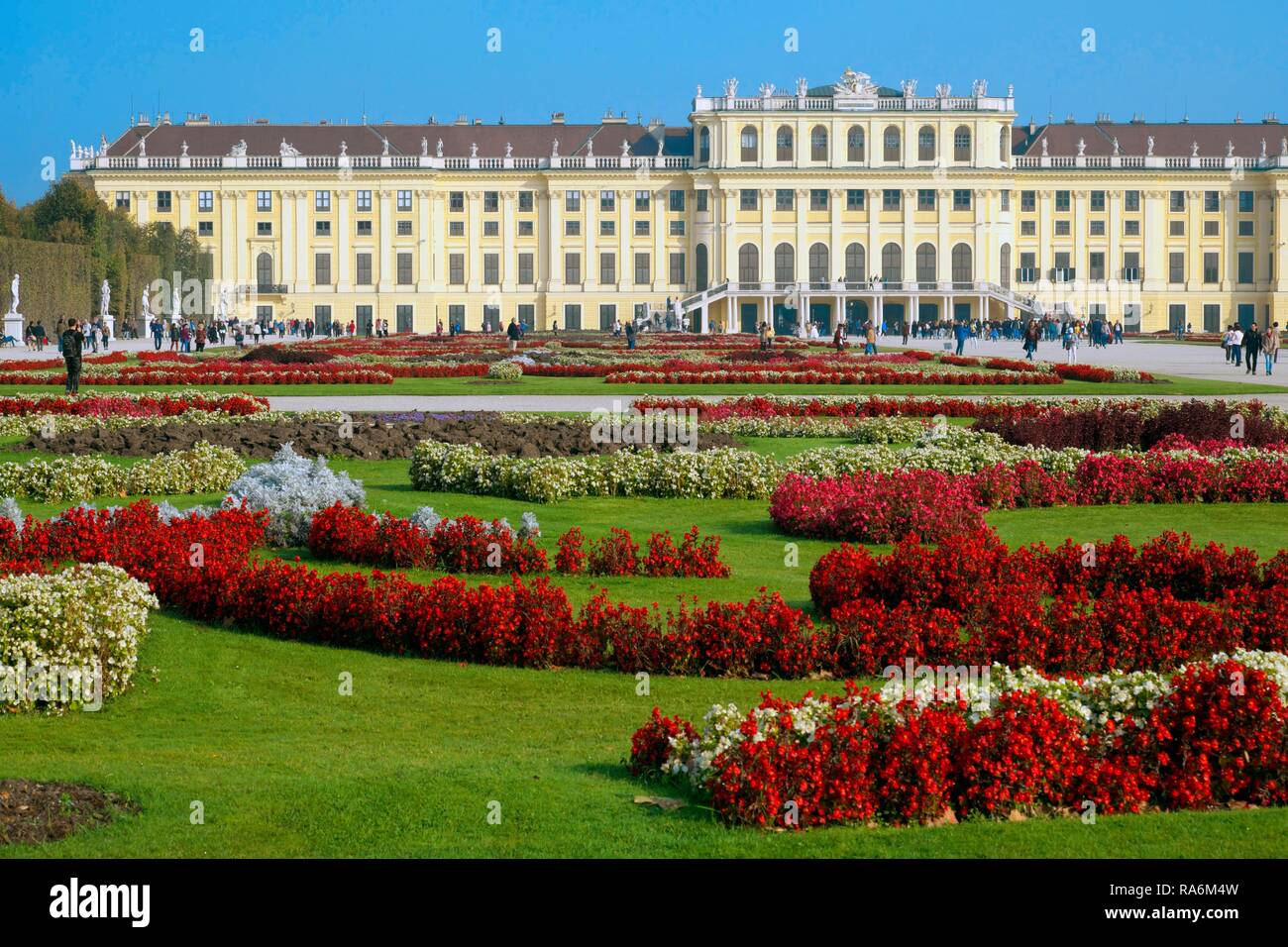 Schloss Schönbrunn mit Blumenbeet, Wien, Österreich Stockfoto