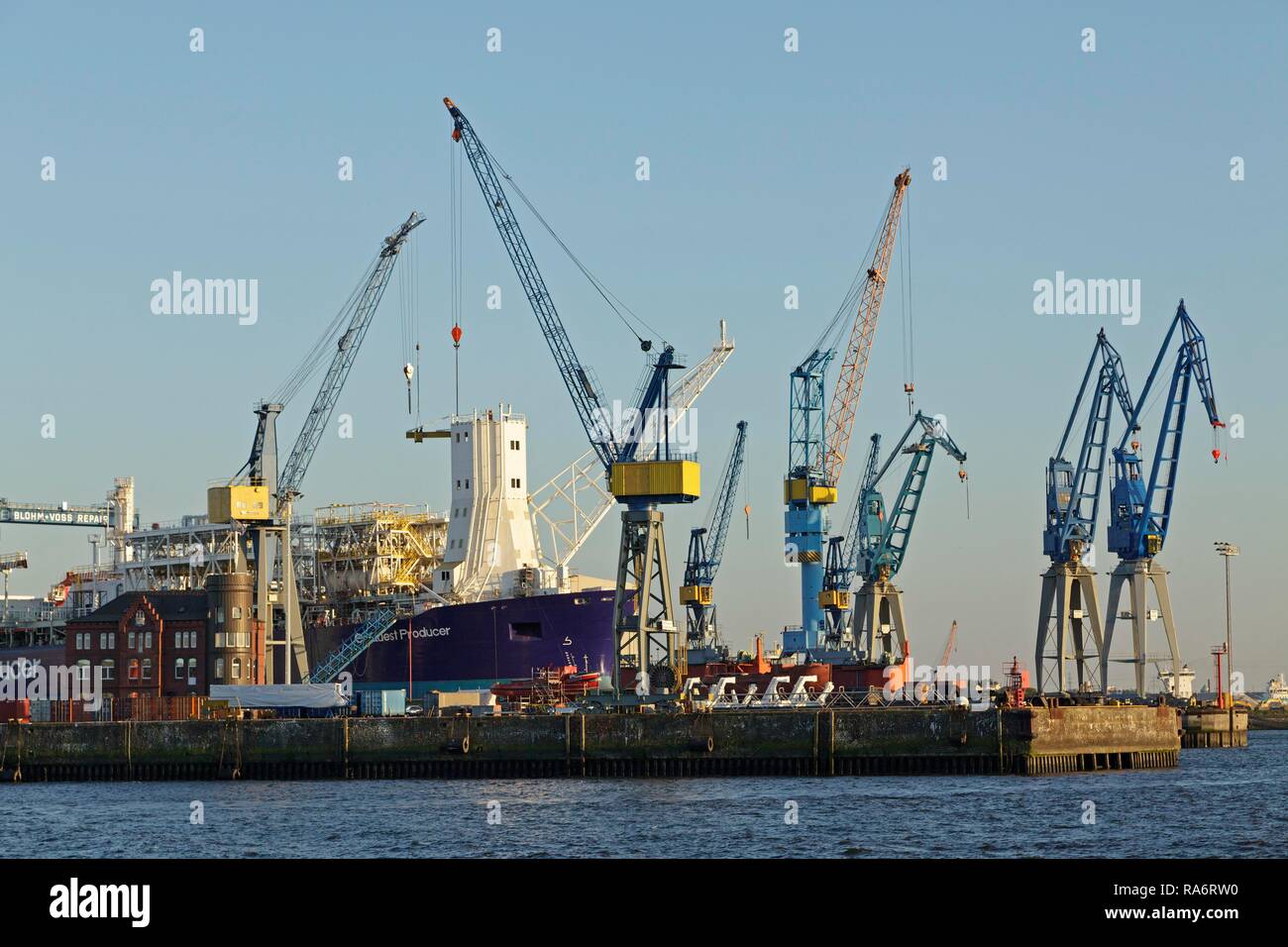 Blohm und Voss Werften mit gantry cranes, Hafen Hamburg, Hamburg, Hamburg, Deutschland Stockfoto