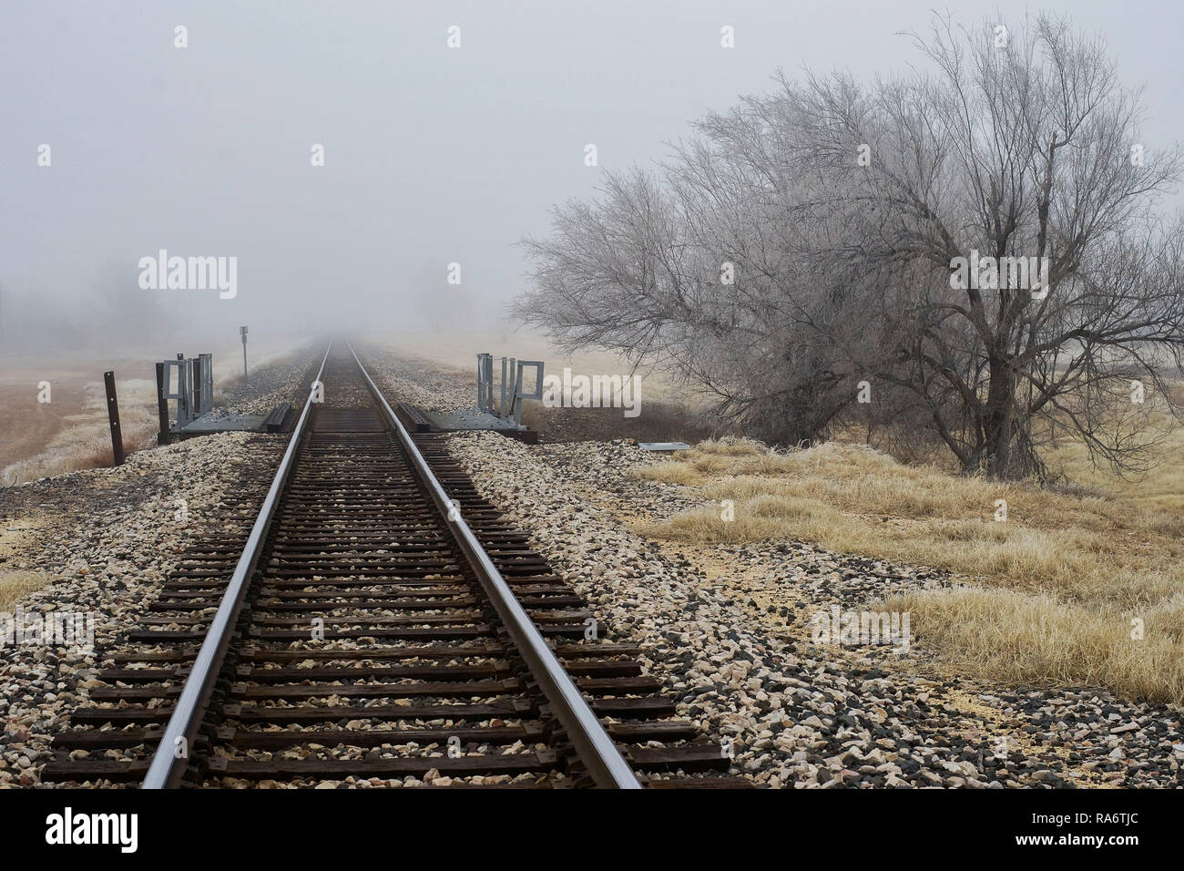 Eisenbahnschienen in Lake, Texas, an einem nebligen Winter Abend. Stockfoto