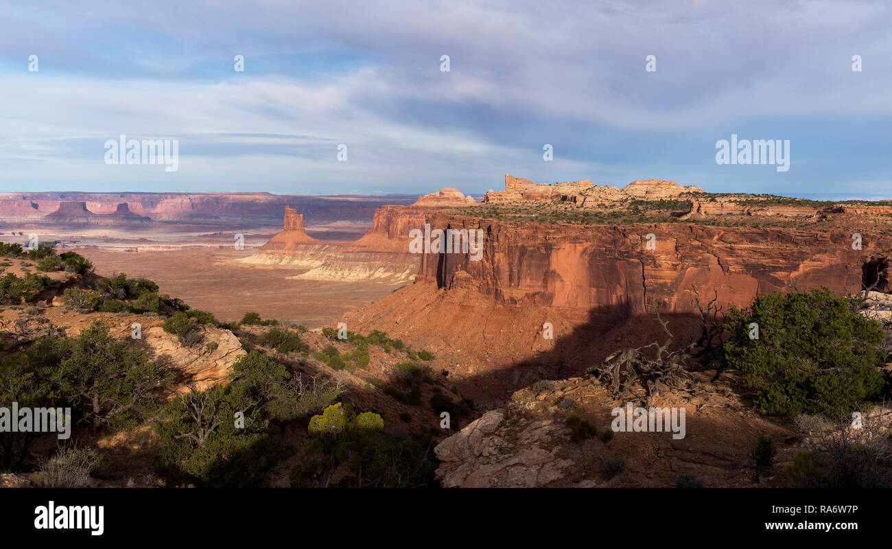 Canyonlands National Park in South Central Utah gelegen mit Blick auf den Leuchter Tower. Der Green River ist innerhalb dieses weiten Canyons. Stockfoto