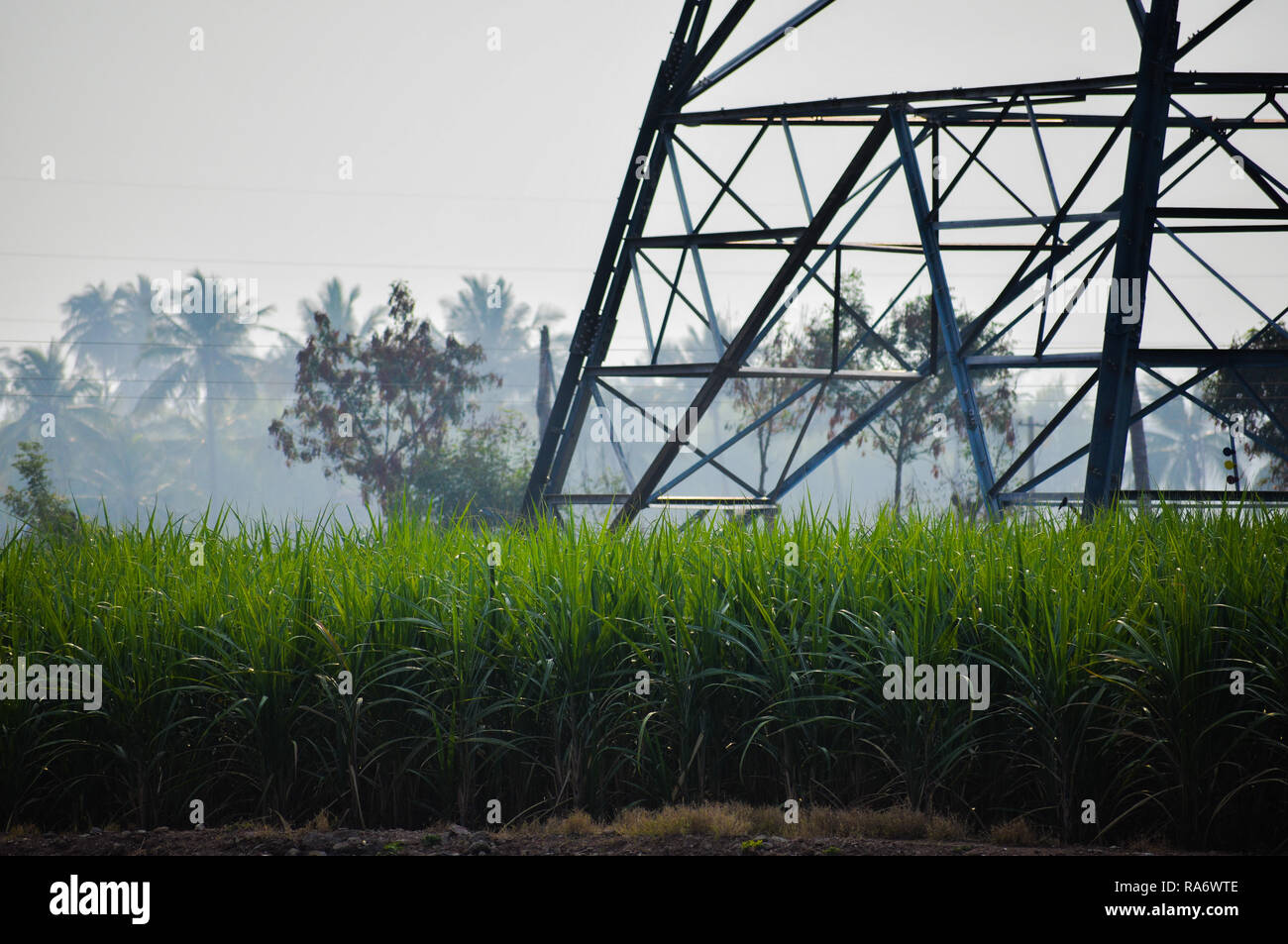 Elektrische Leitung Tower in der Landwirtschaft Feld Stockfoto